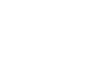 Forretningsudvikling ikon